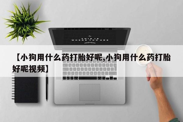 米非司酮片网上购买微信【小狗用什么药打胎好呢,小狗用什么药打胎好呢视频】