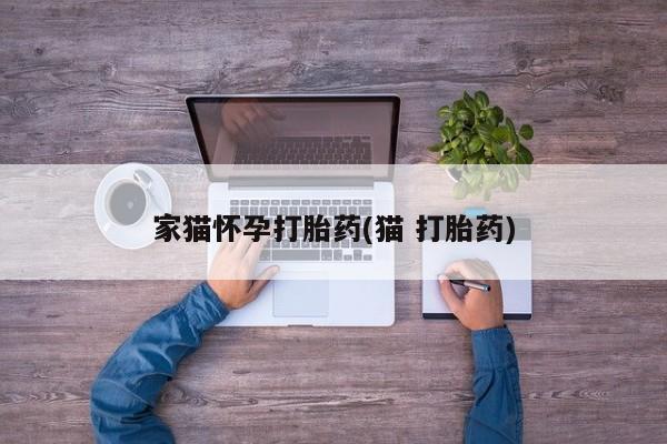 米非司酮片网上购买微信家猫怀孕打胎药(猫 打胎药)